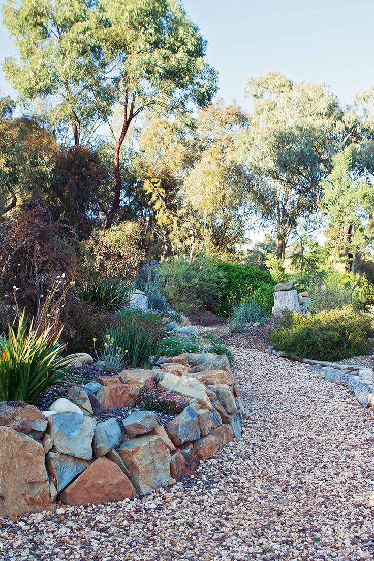 Elegant Australian Native Rock Gardens Pin