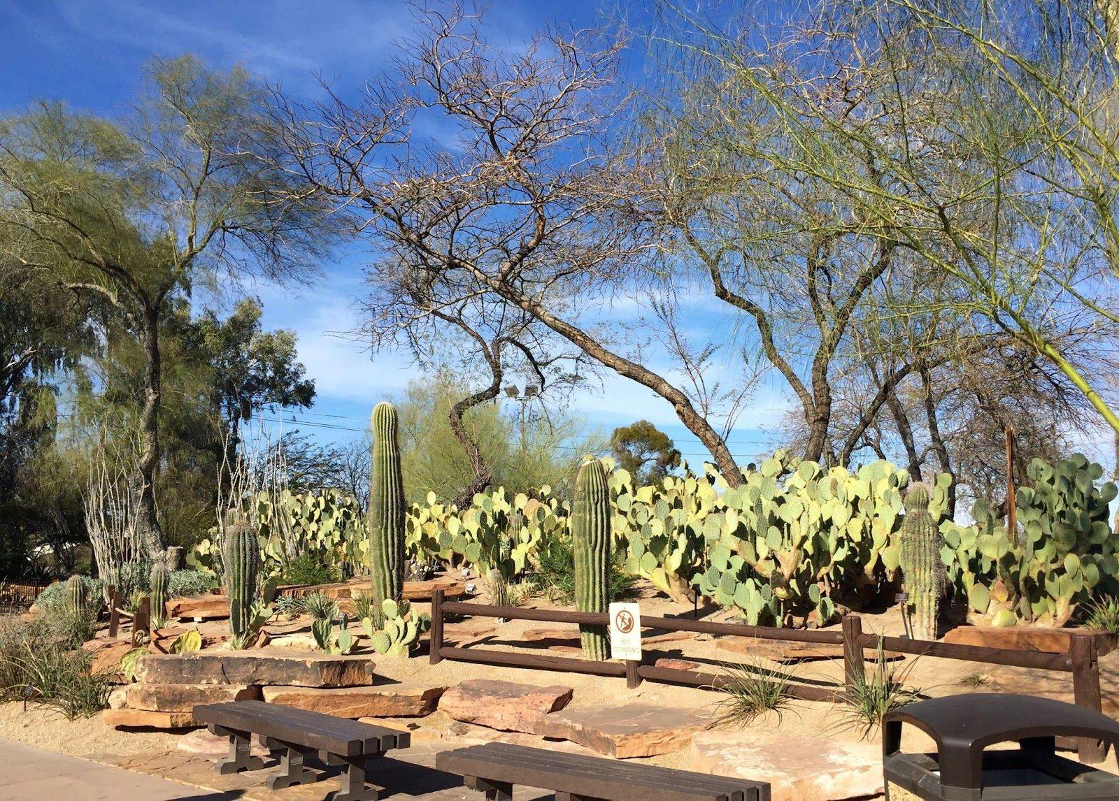 Ethel M Botanical Cactus Garden Henderson