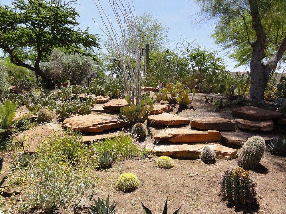 Ethel M Botanical Cactus Garden Us