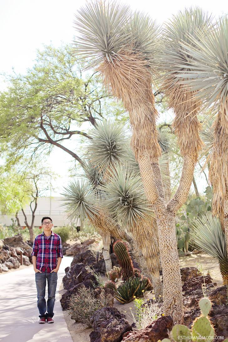 Ethel M Cactus Garden Las Vegas