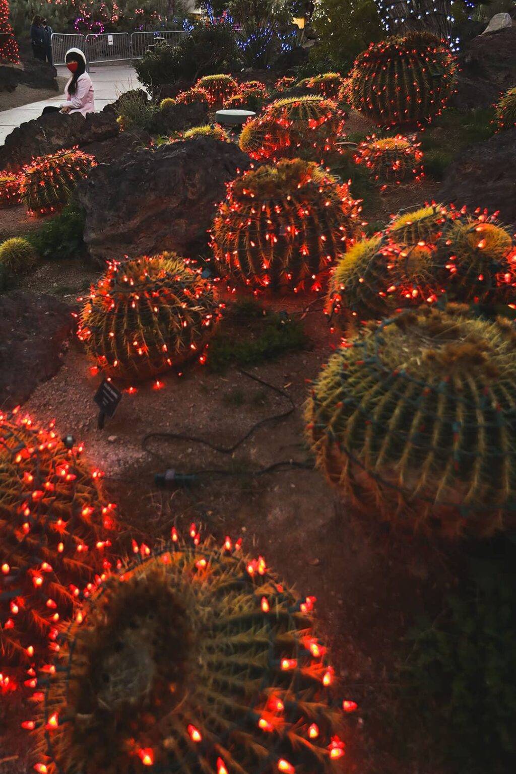 Ethel M Chocolate Factory Cactus Garden