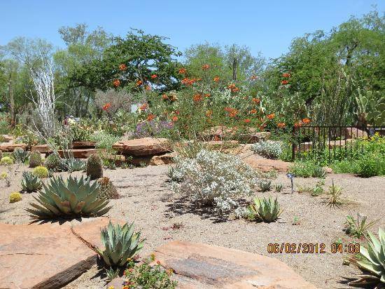 Ethel M Chocolates Factory And Cactus Garden Cactus Garden