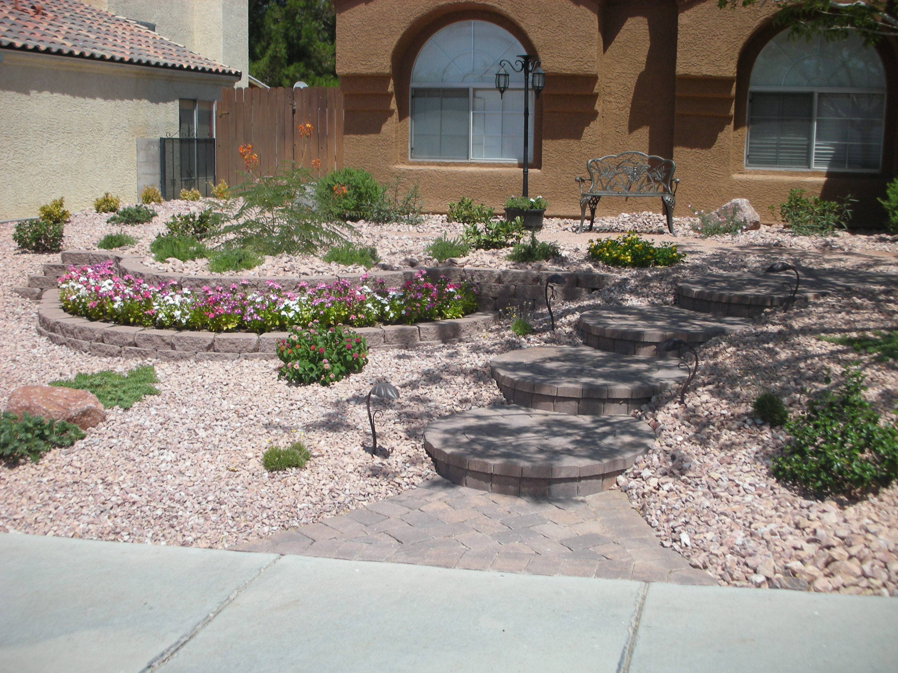 Best Drought Tolerant Nevada Gardens Images