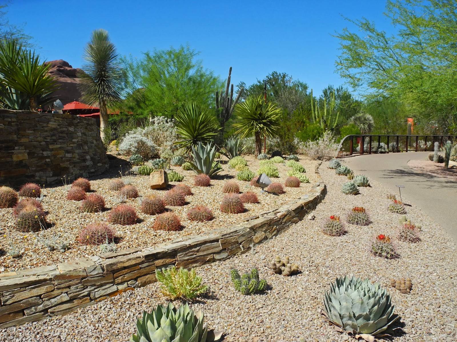 Palm Springs Desert Landscape Images Path To Patio With Rock