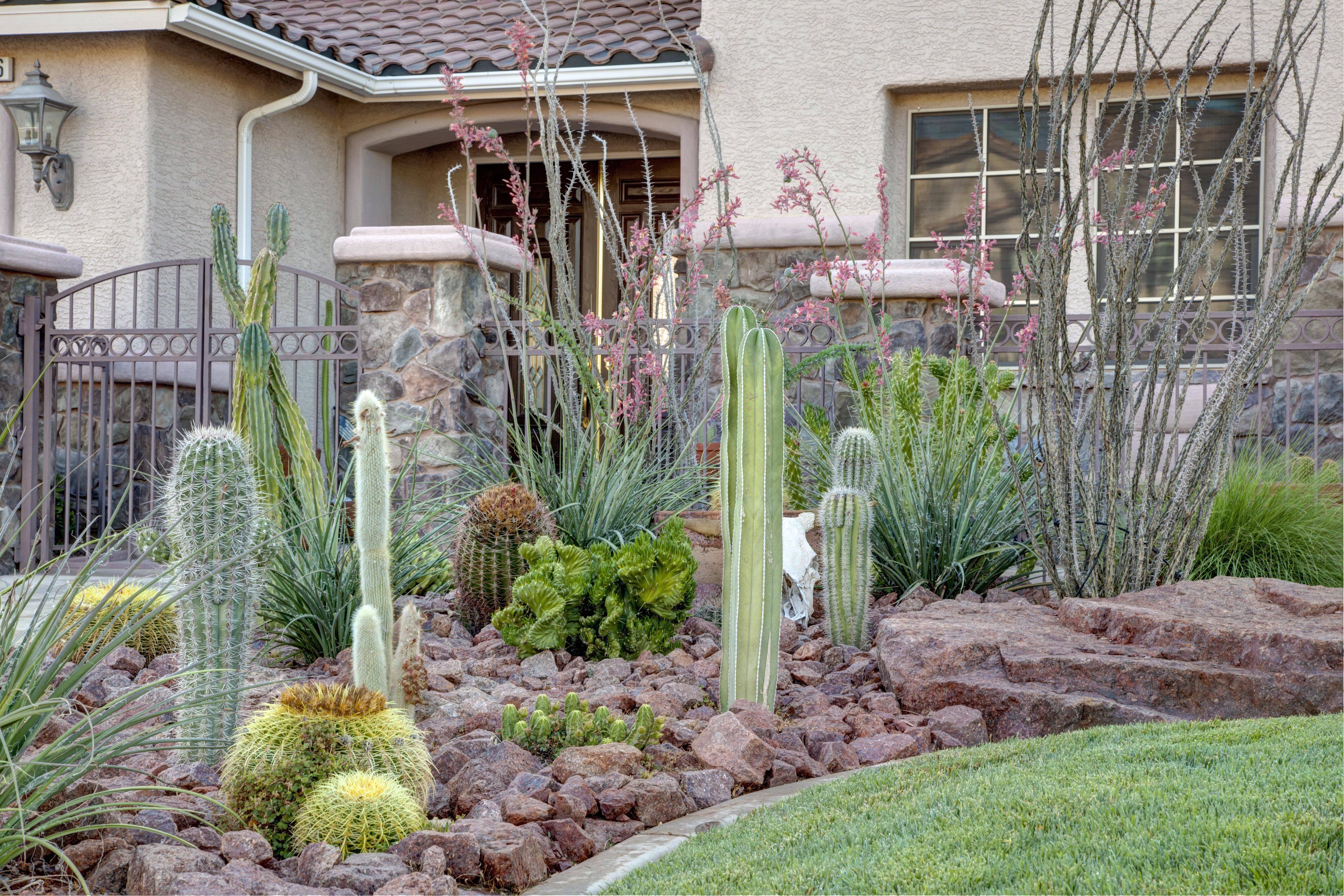 Residential Desert Landscaping Gallery Las Vegas Nevada