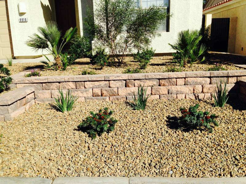 Desert Botanical Garden