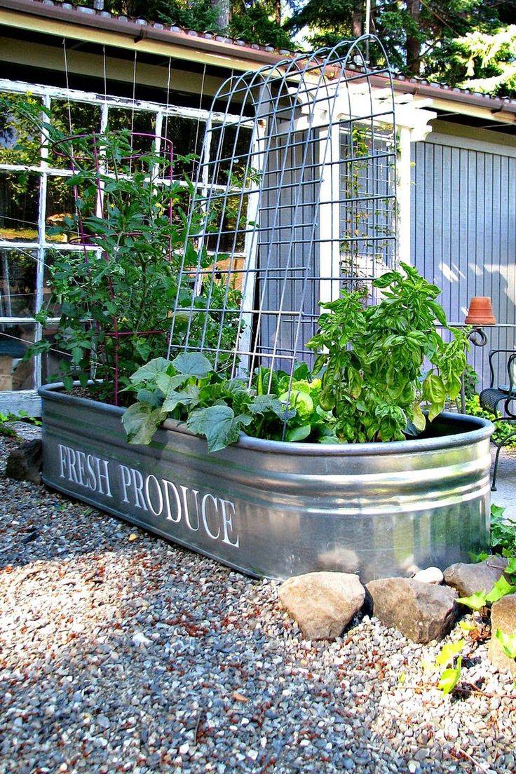 A Water Trough Planter