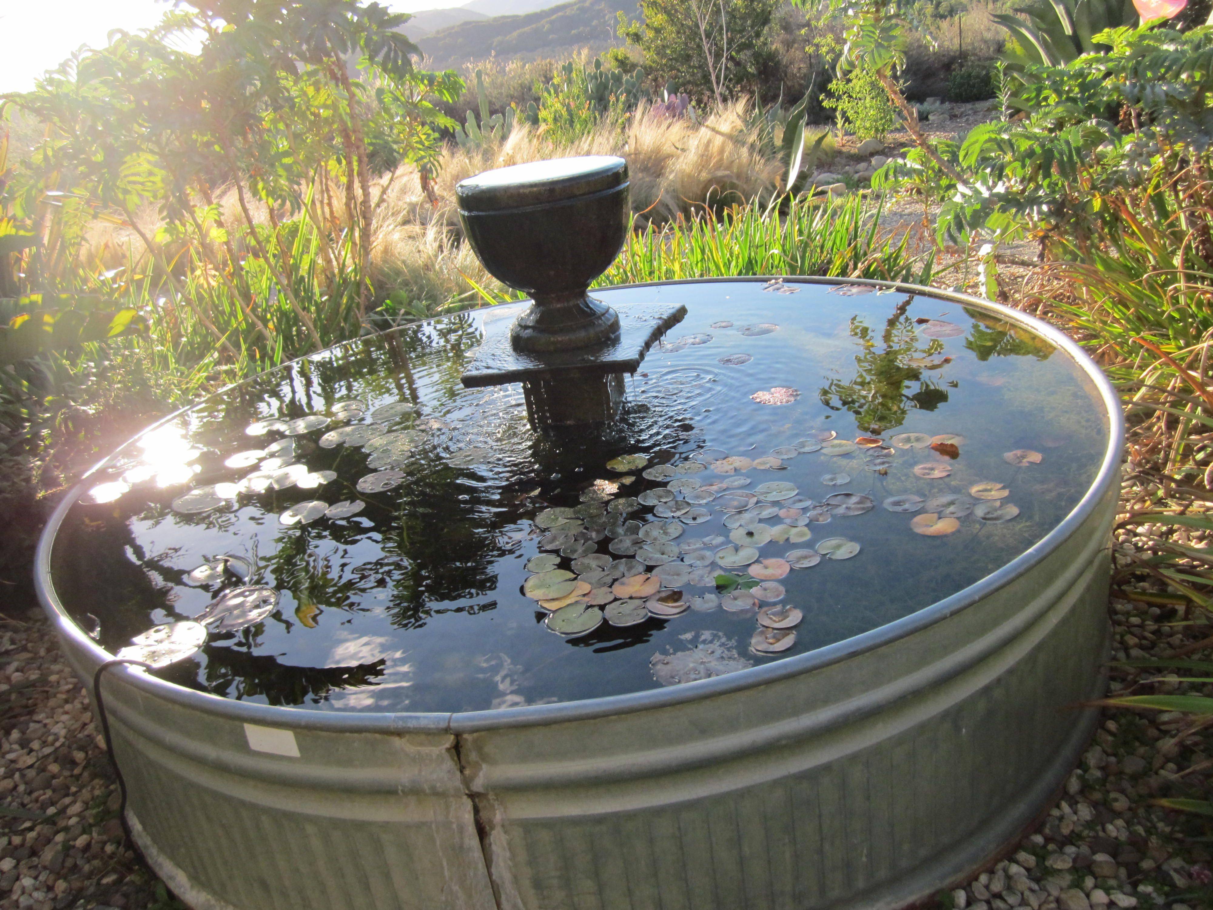 My Old Pump Garden Containers