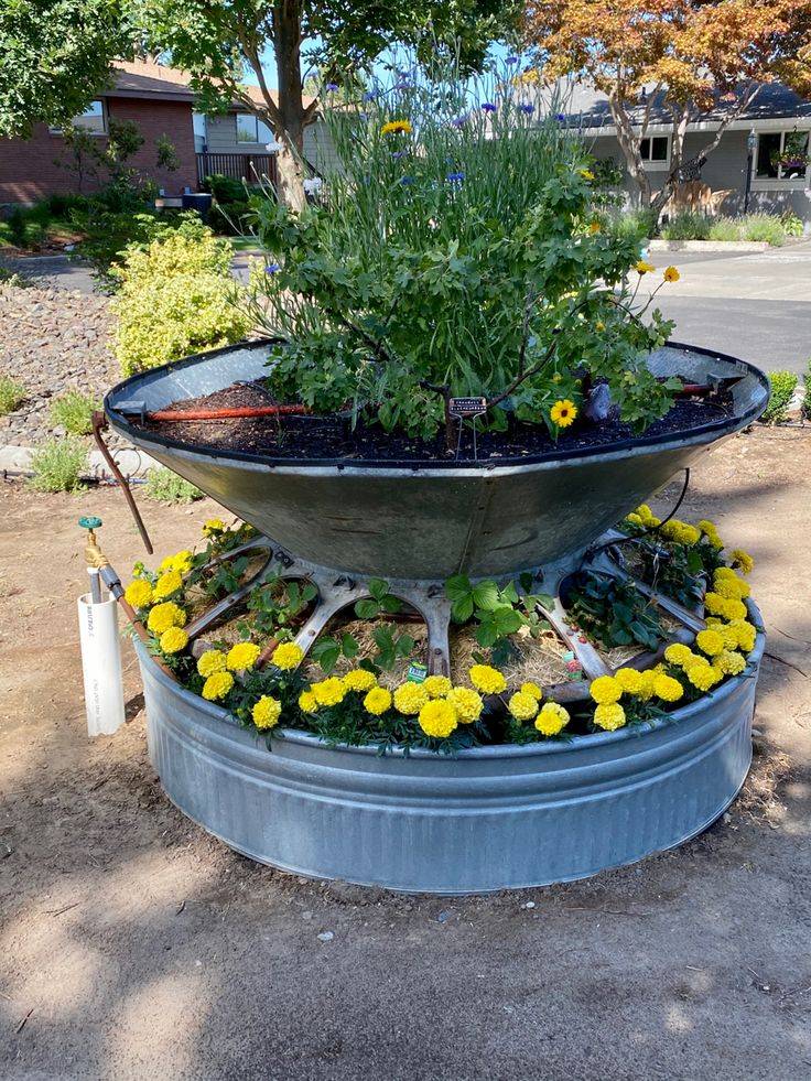 Horse Water Trough Water Trough Ponds