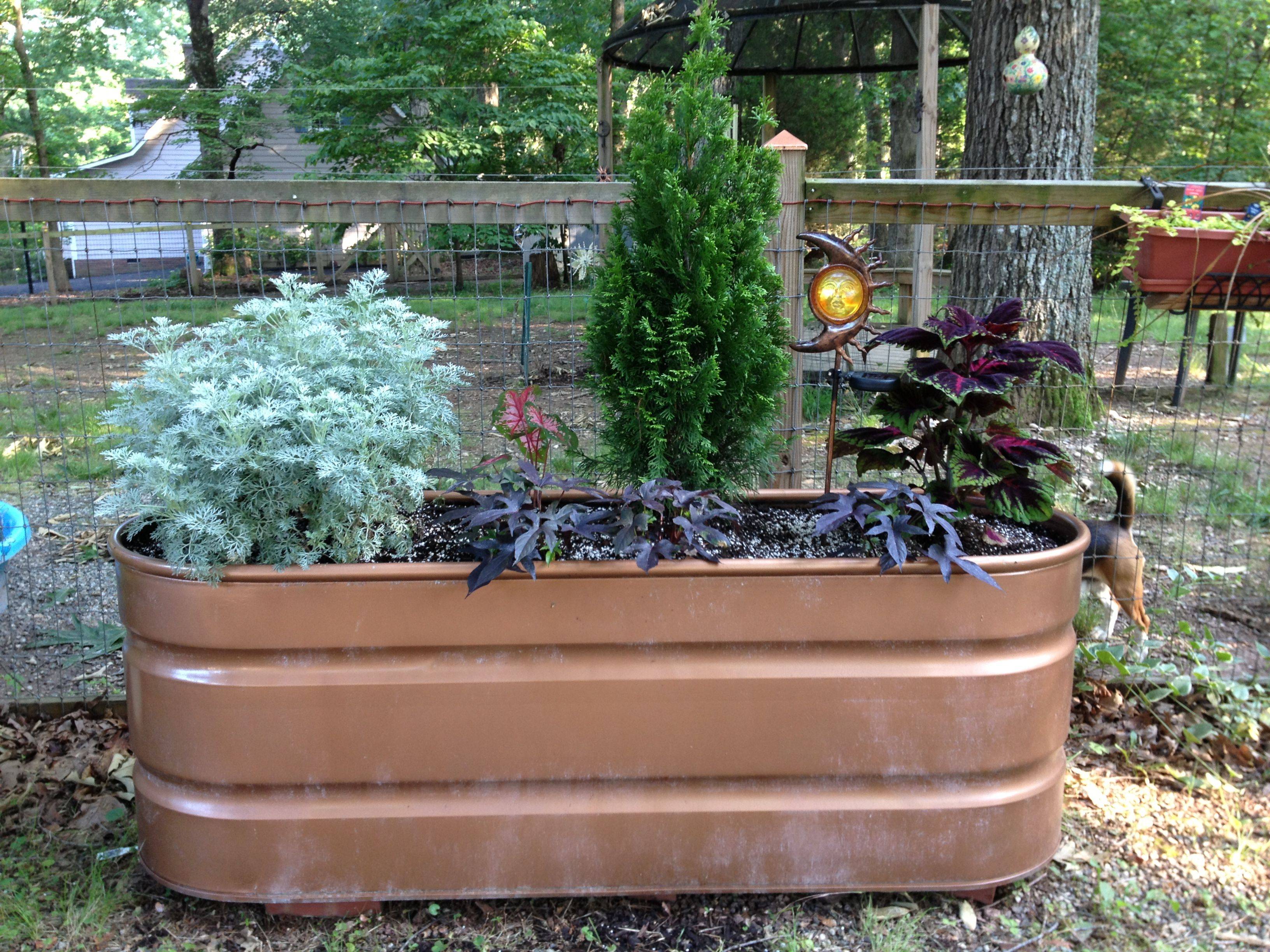 Old Water Trough Planter