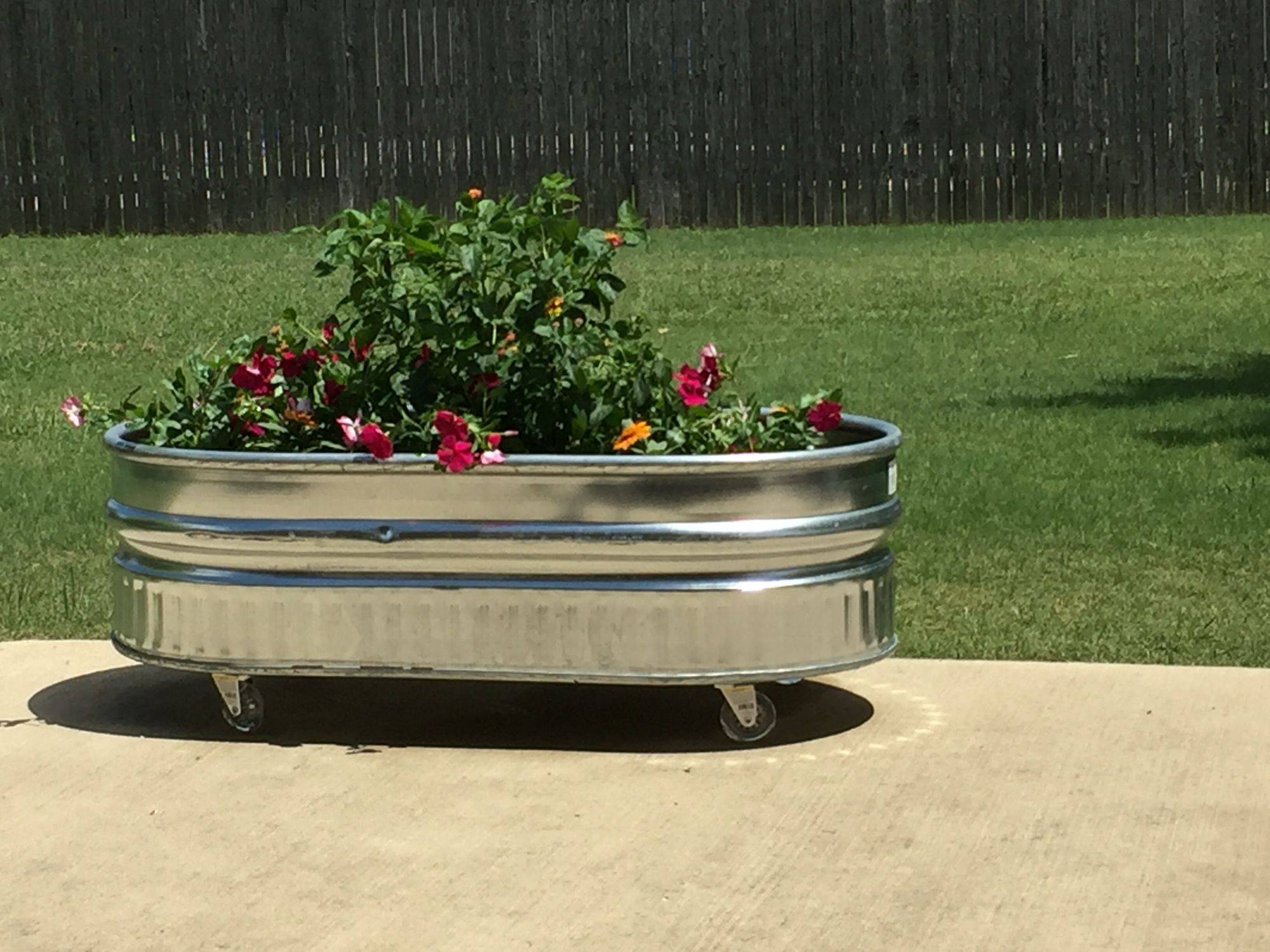 Our First Raised Water Trough Garden Bed