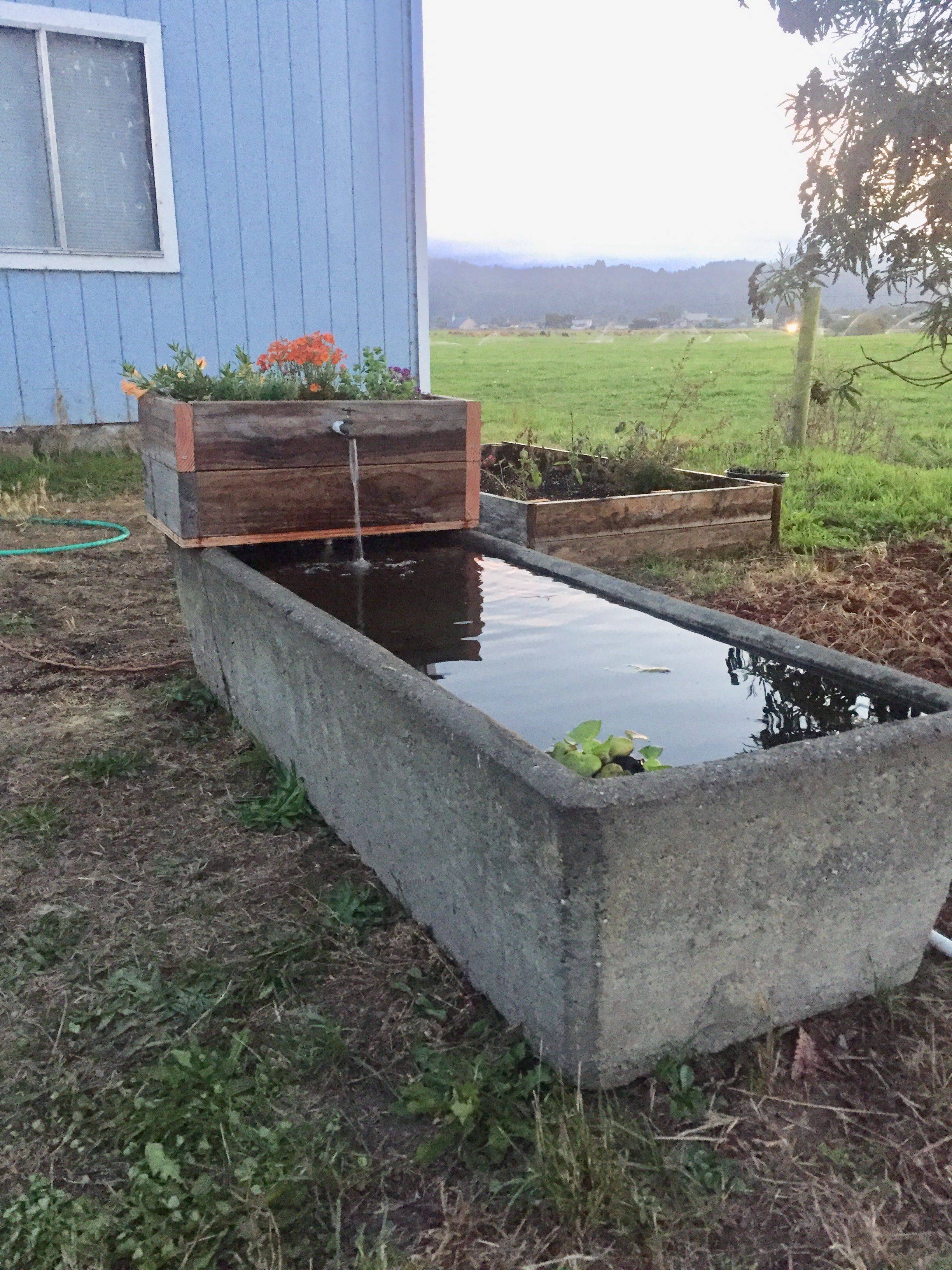 Gardening Home Vegetable Garden