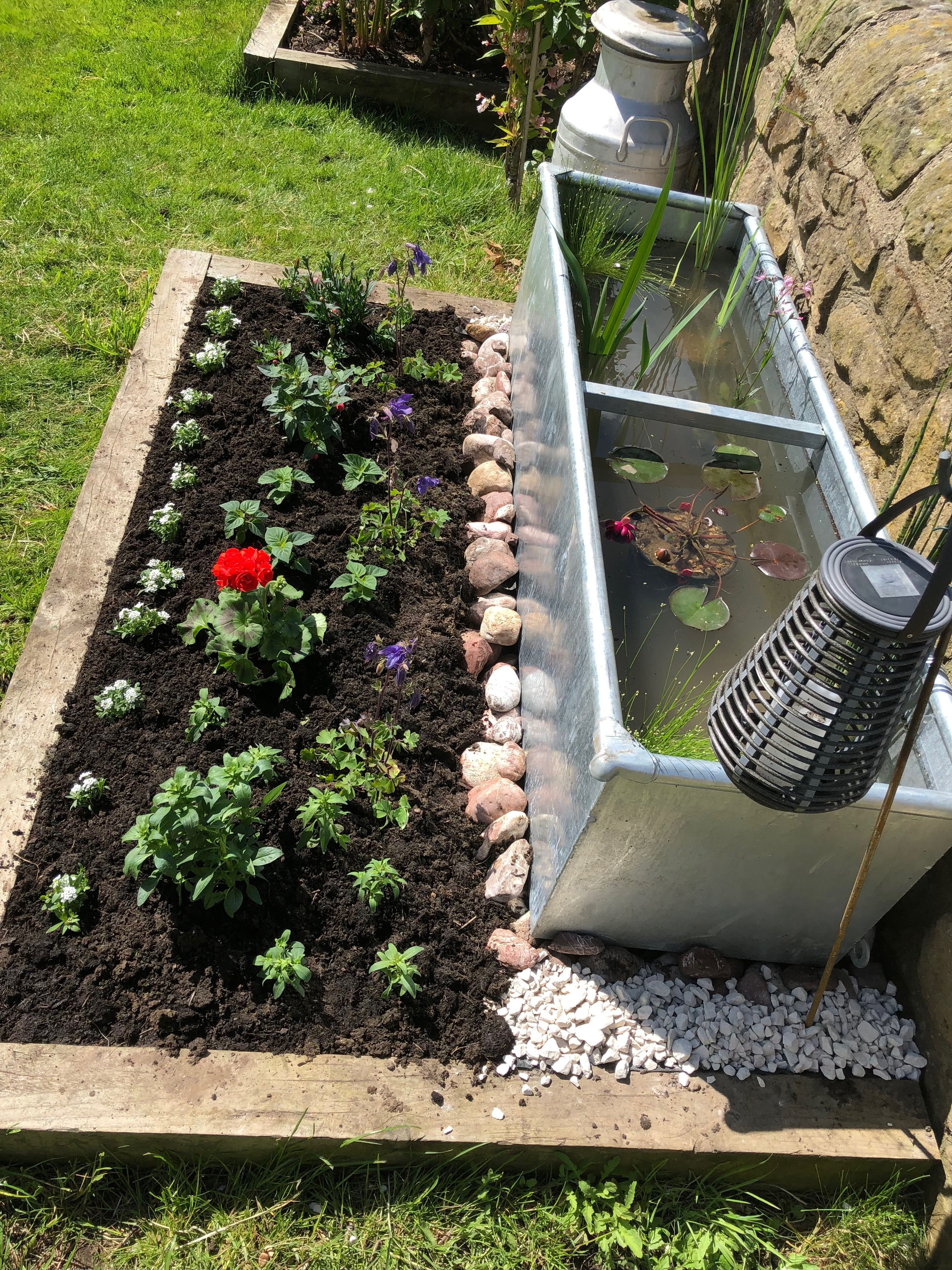 Rusty Water Trough Garden