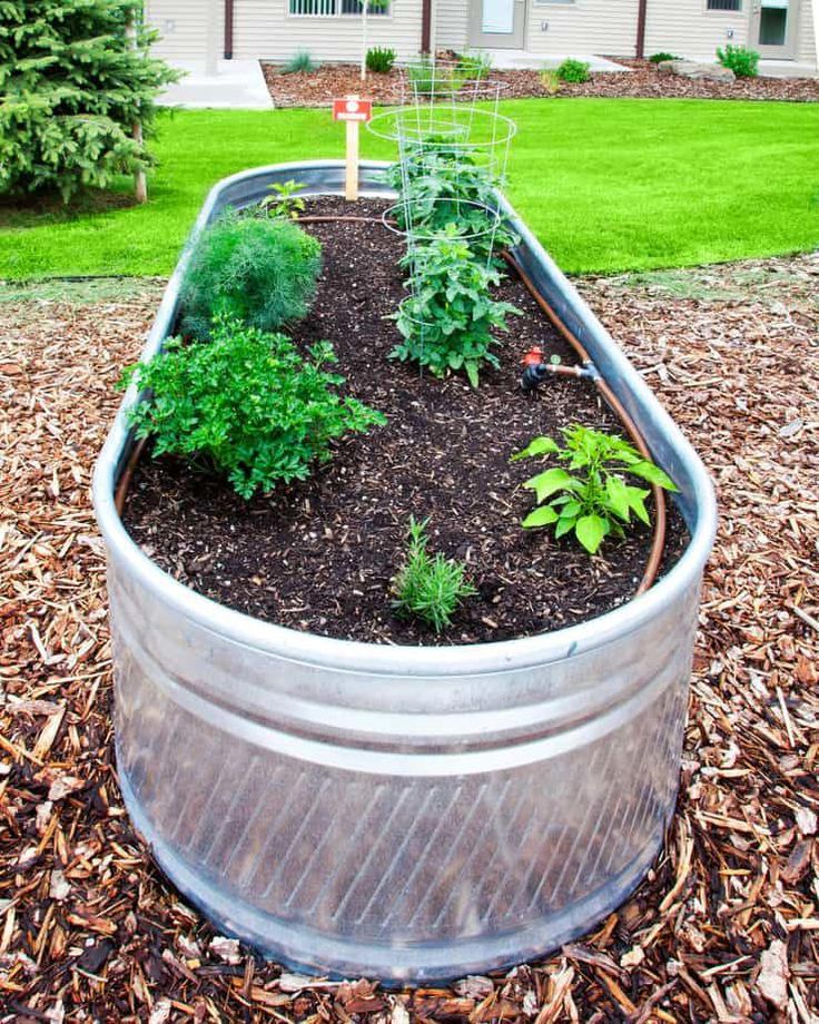 Water Trough Garden Ideas