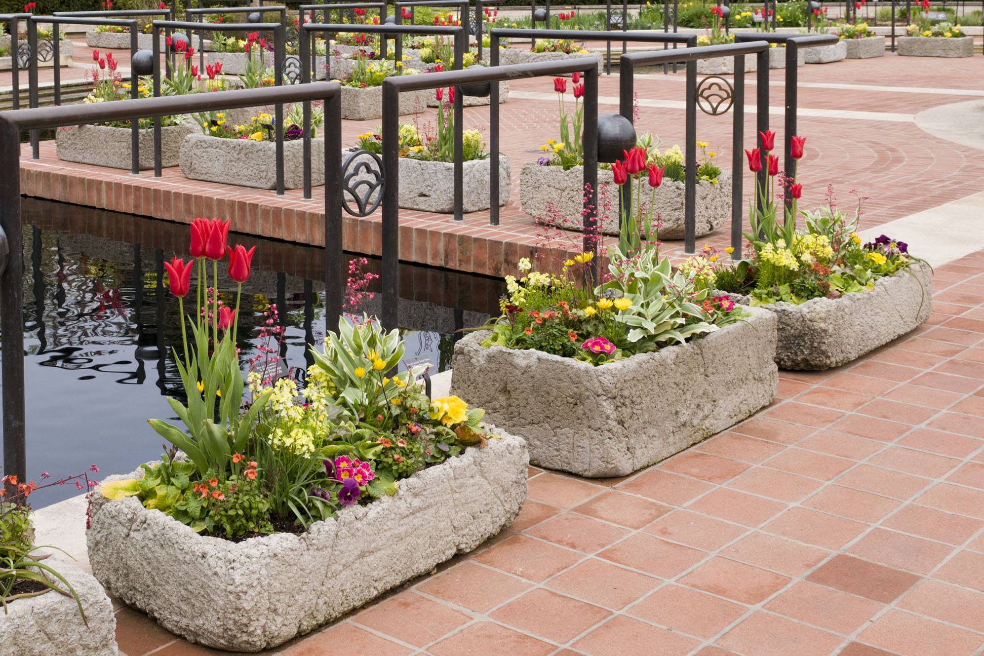 Eves Water Trough Garden Gardening