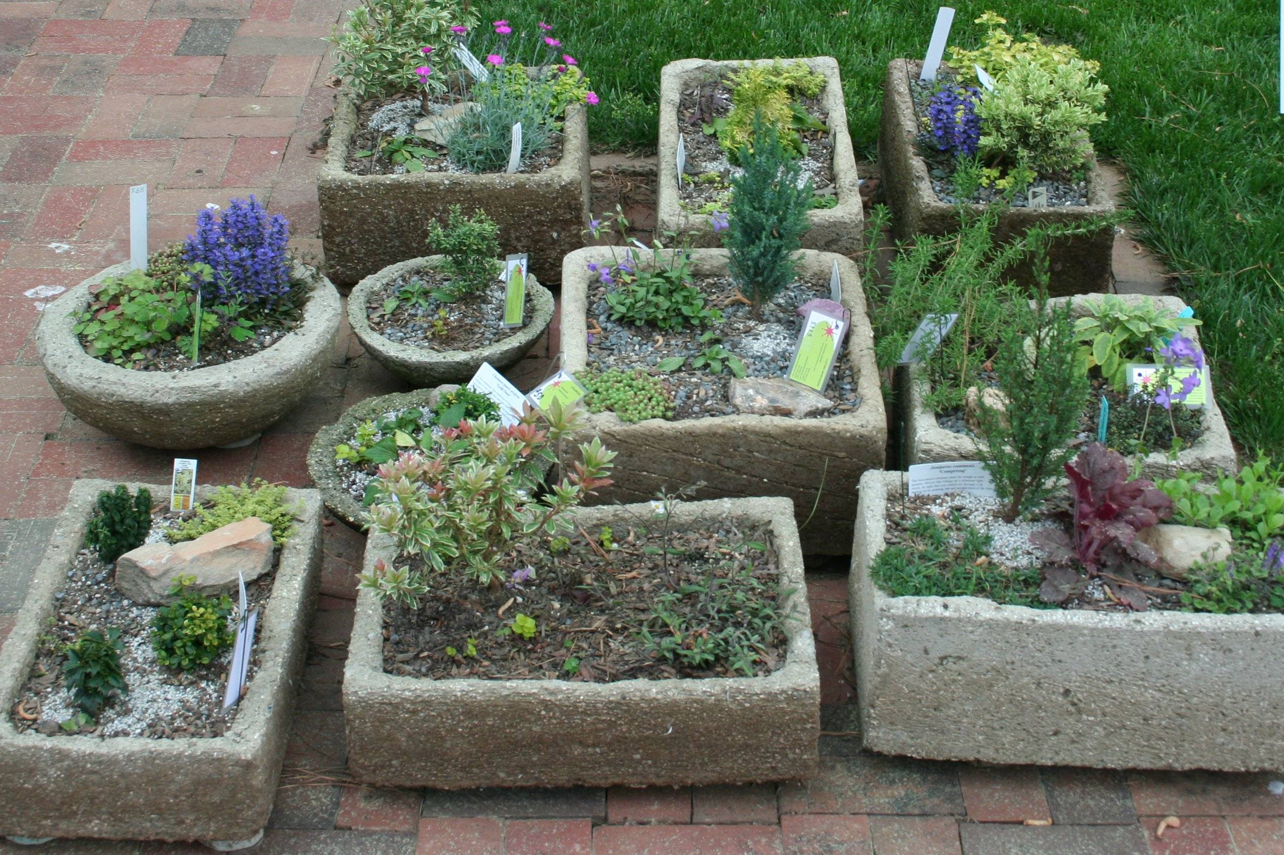 Orange Trough Planters