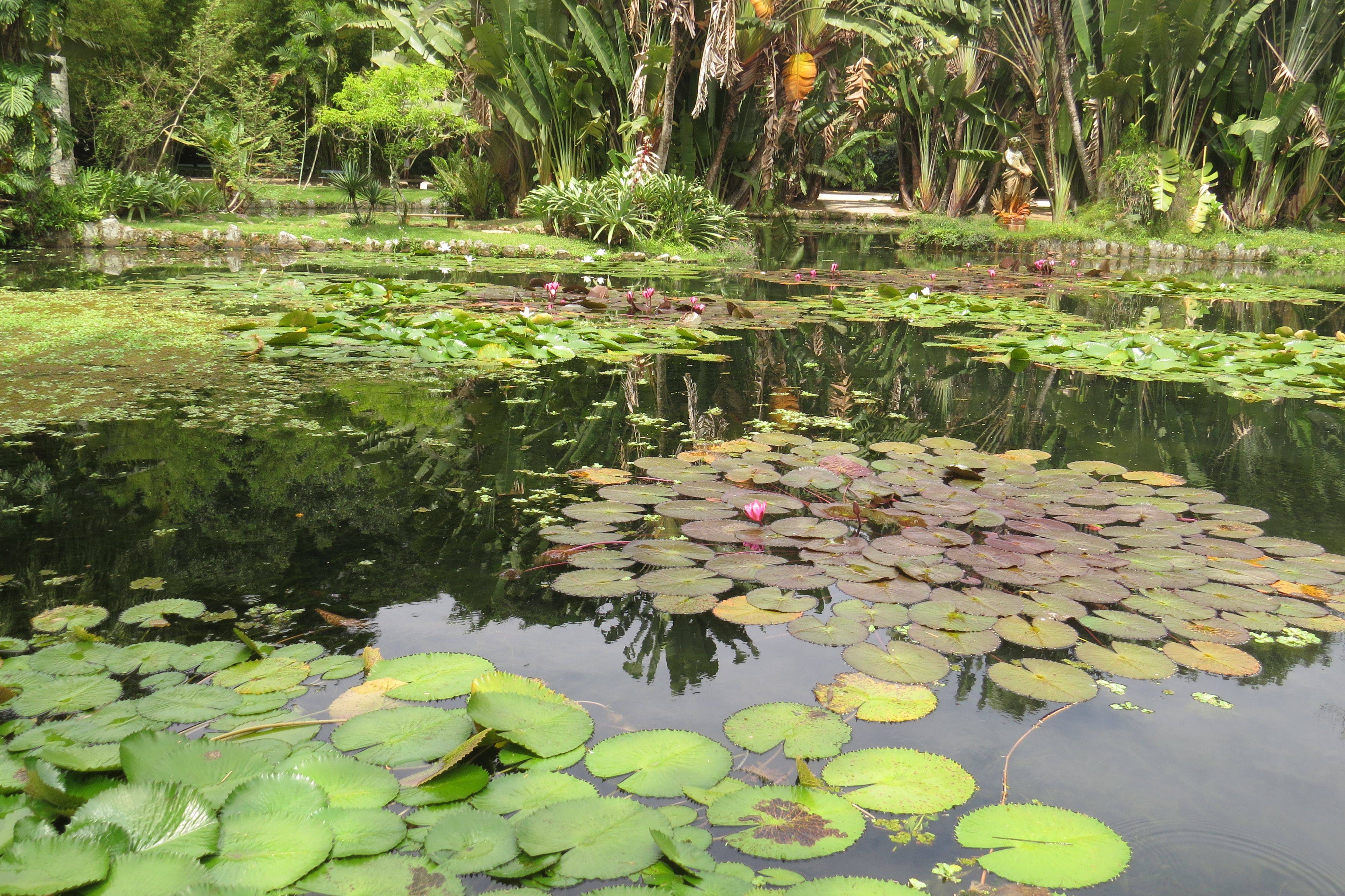 Botanical Garden Brazil Guided