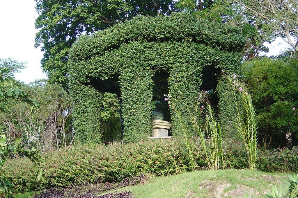 Botanical Garden Green Palmtrees Rio De Janeiro Brasil Reis