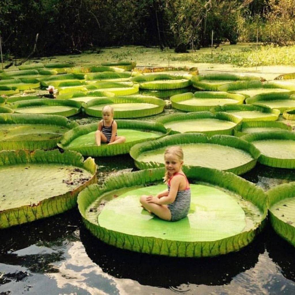 Chicago Botanic Garden