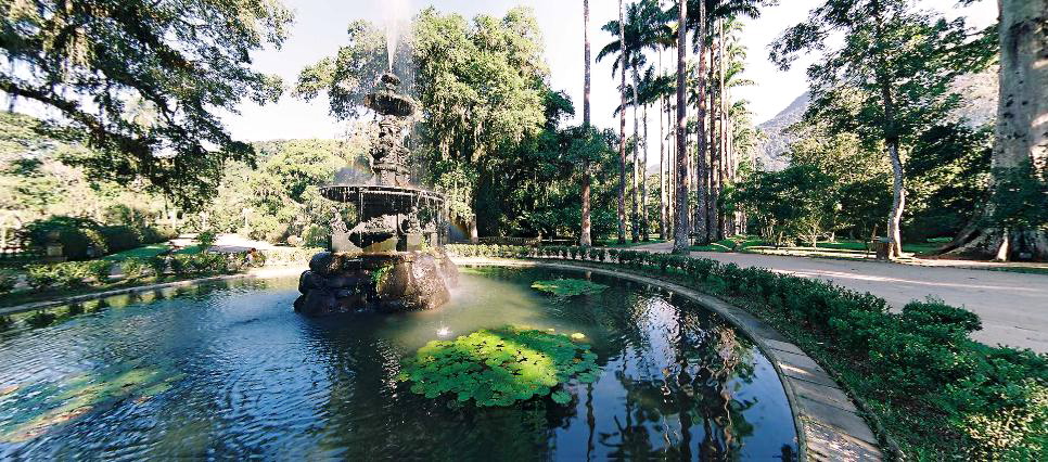 Study Abroad Program