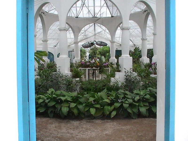 The Rio De Janeiro Botanical Garden Landscaping Inspiration