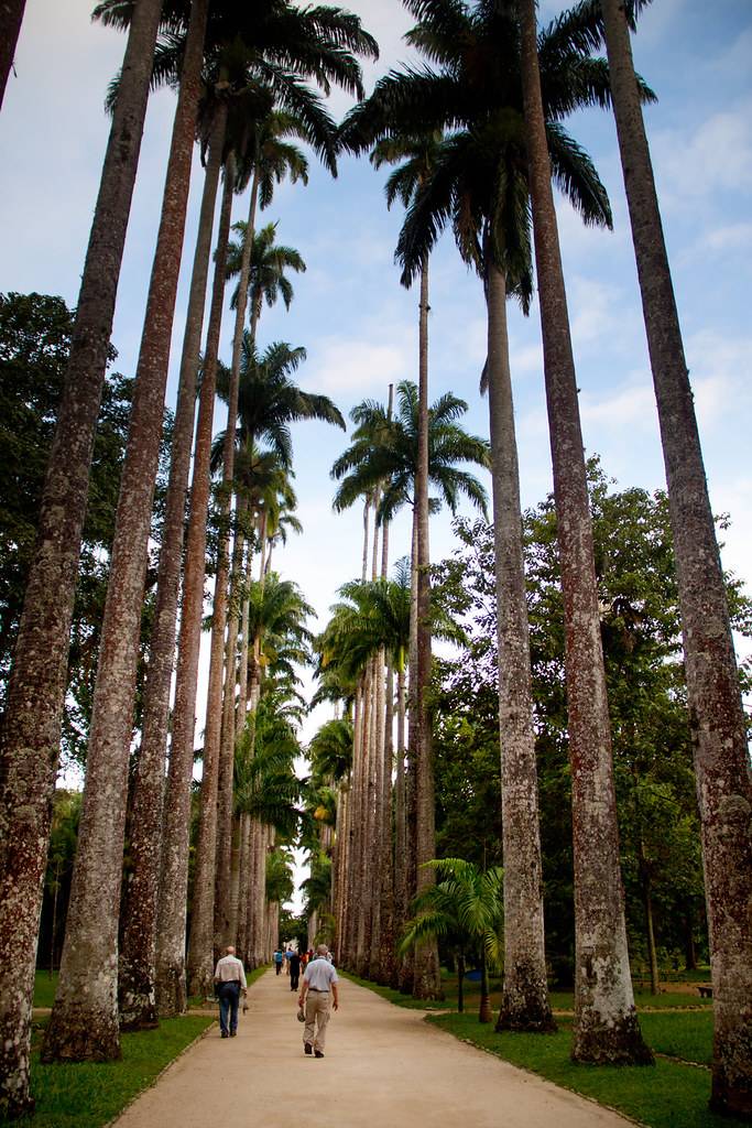 Rio De Janeiro Stock Footage Video