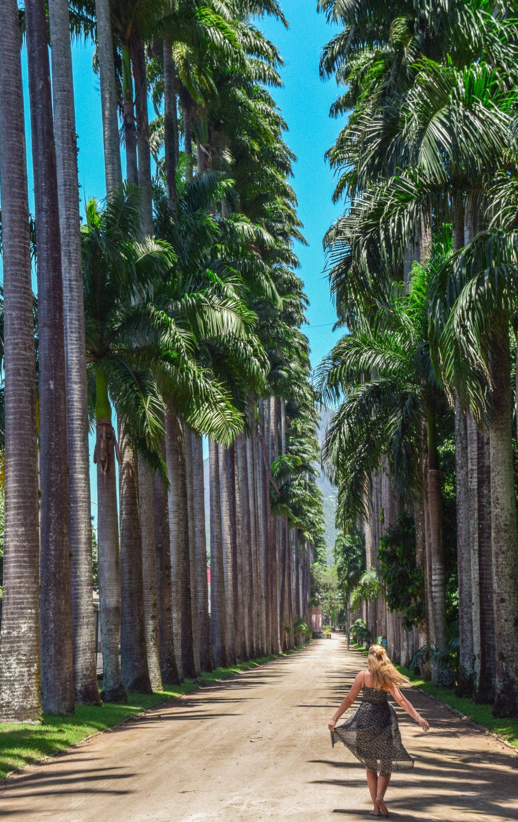 Rio De Janeiro Vacation