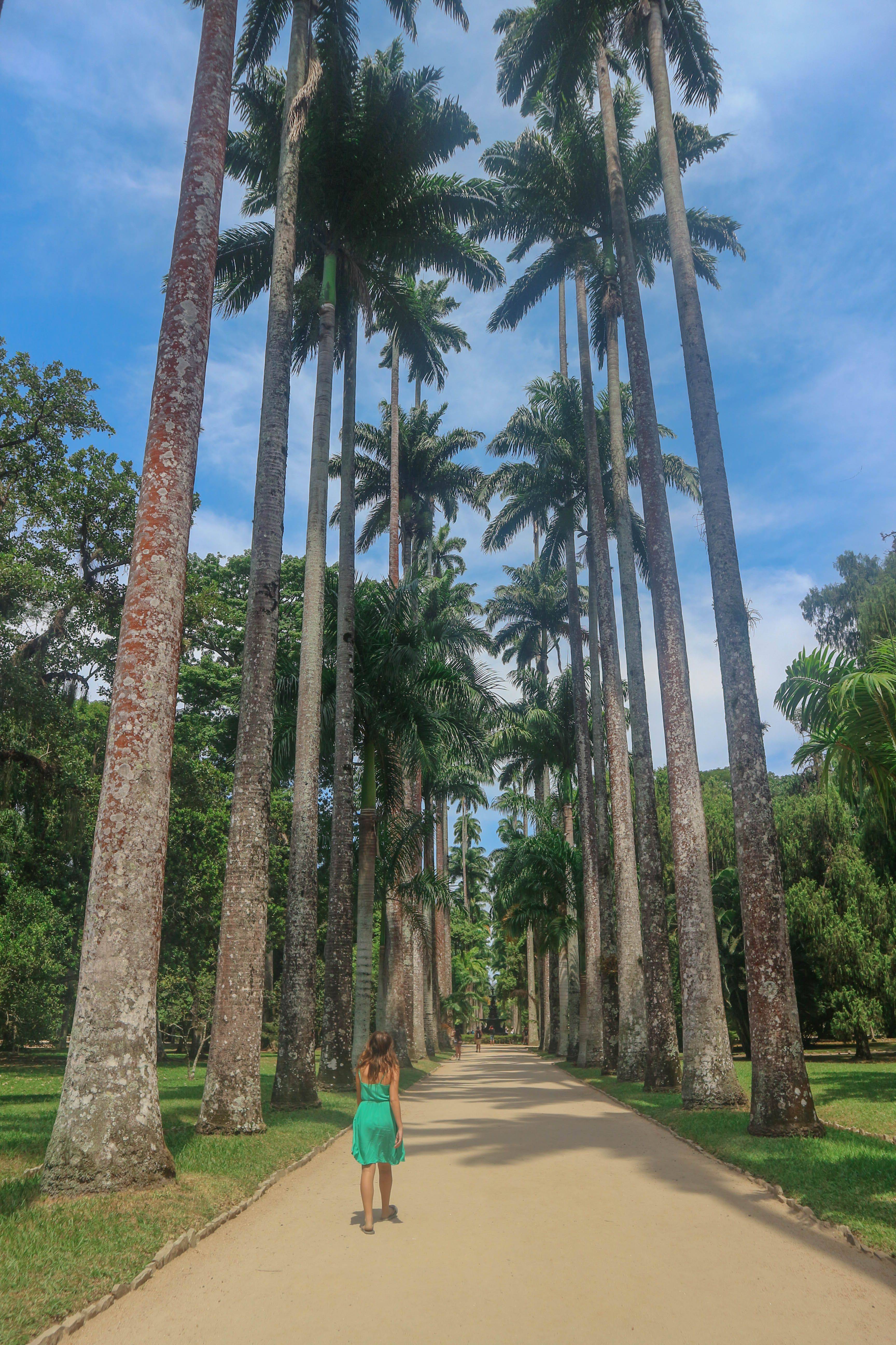 The Botanical Gardens