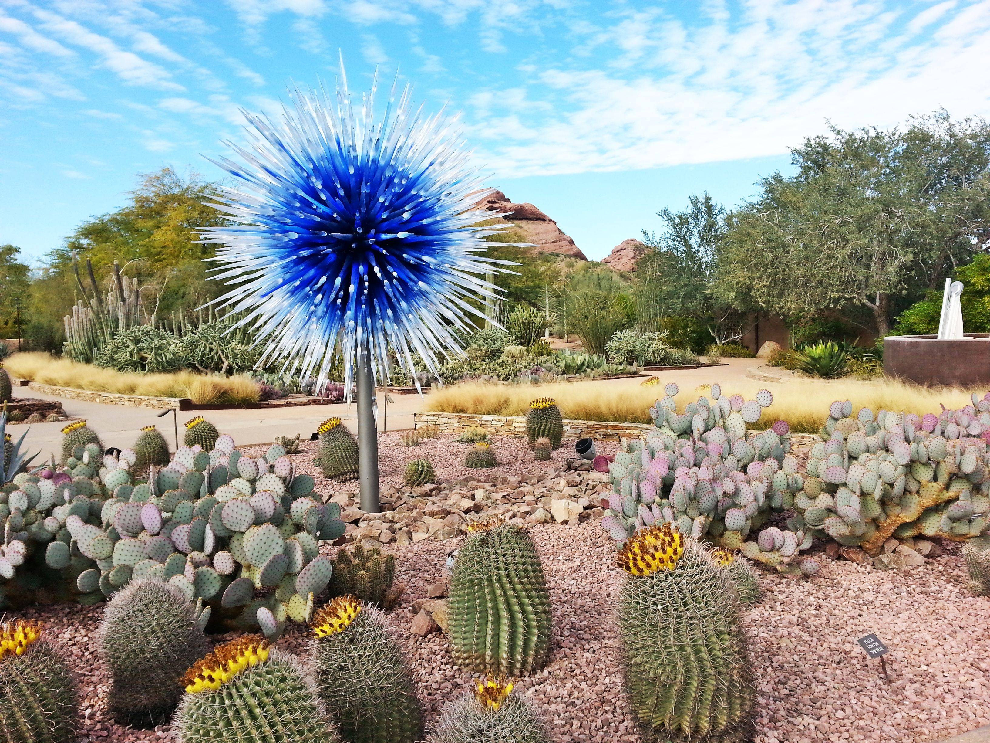 Amazing Desert Garden Landscaping Ideas