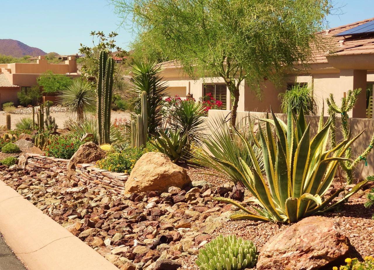 Beautiful Desert Botanical Garden