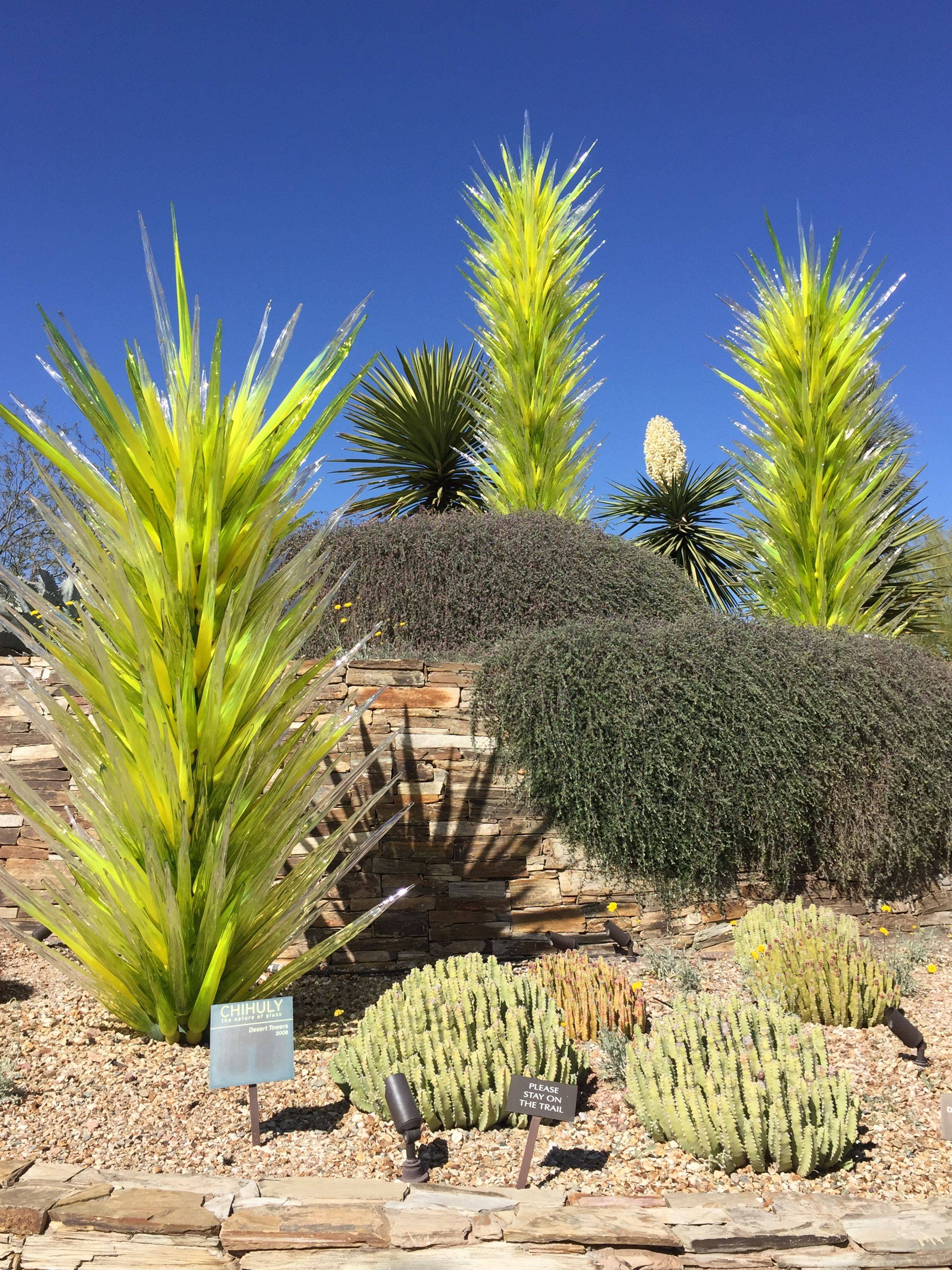 Google Desert Botanical Garden