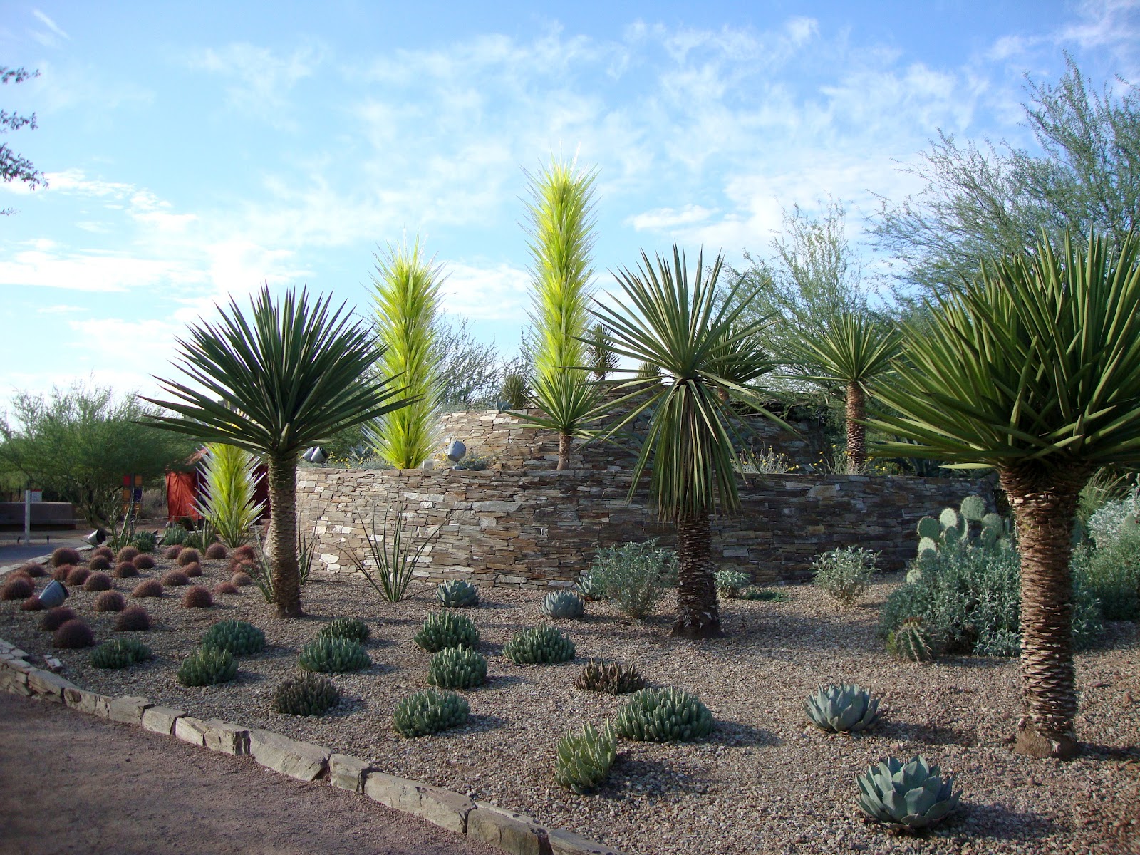 Desert Botanical Garden