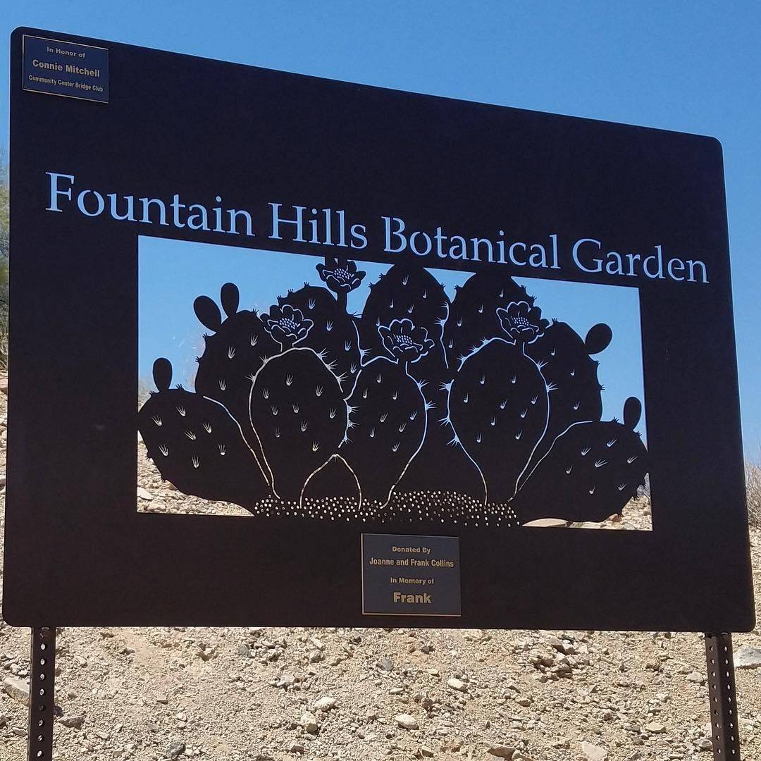 Desert Botanical Garden Idealist