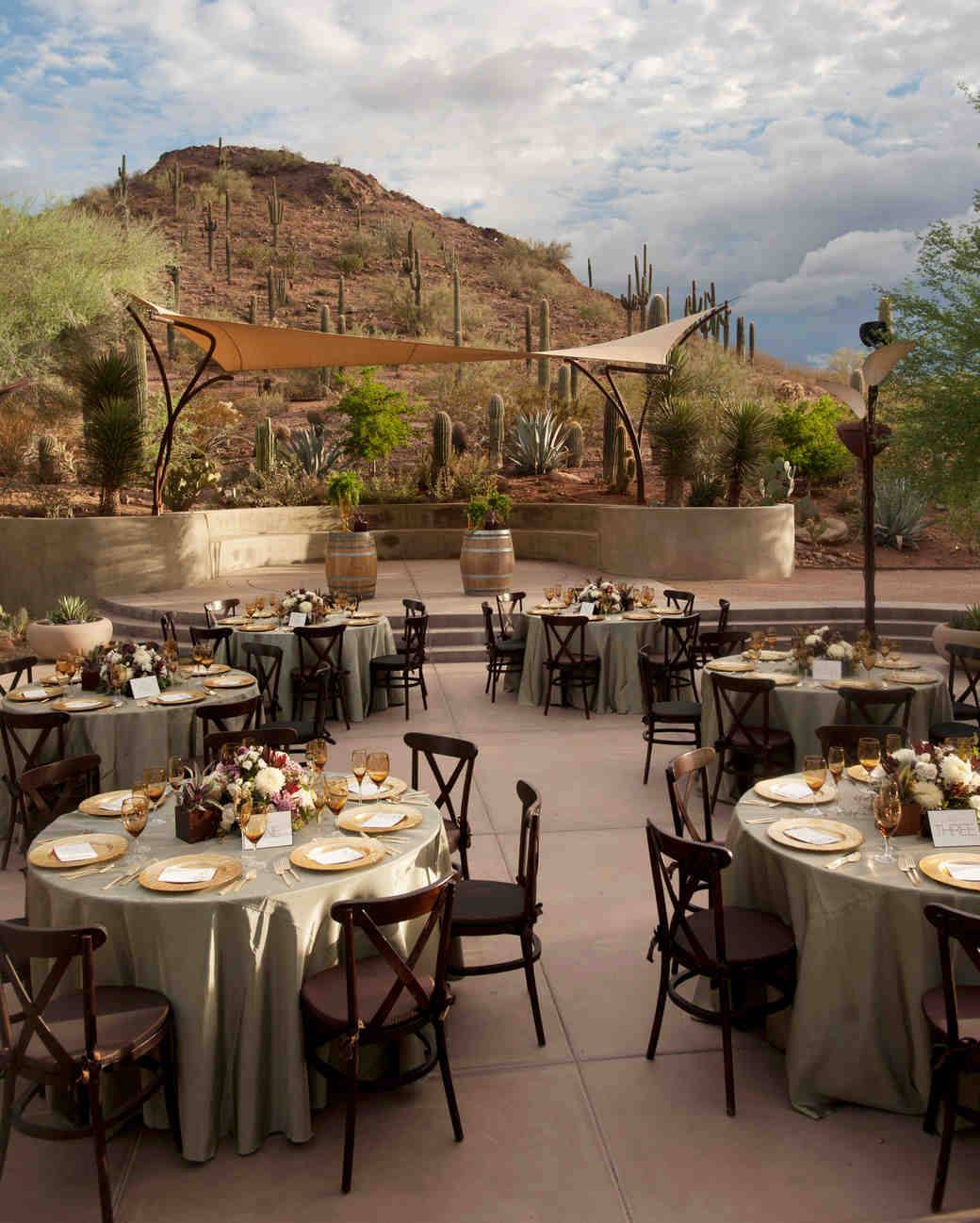 The Desert Botanical Gardens Phoenix Photo