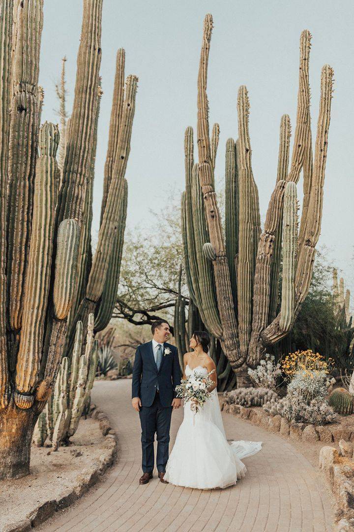 Desert Botanical Garden Wedding