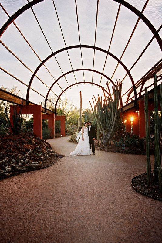 Desert Botanical Garden Wedding