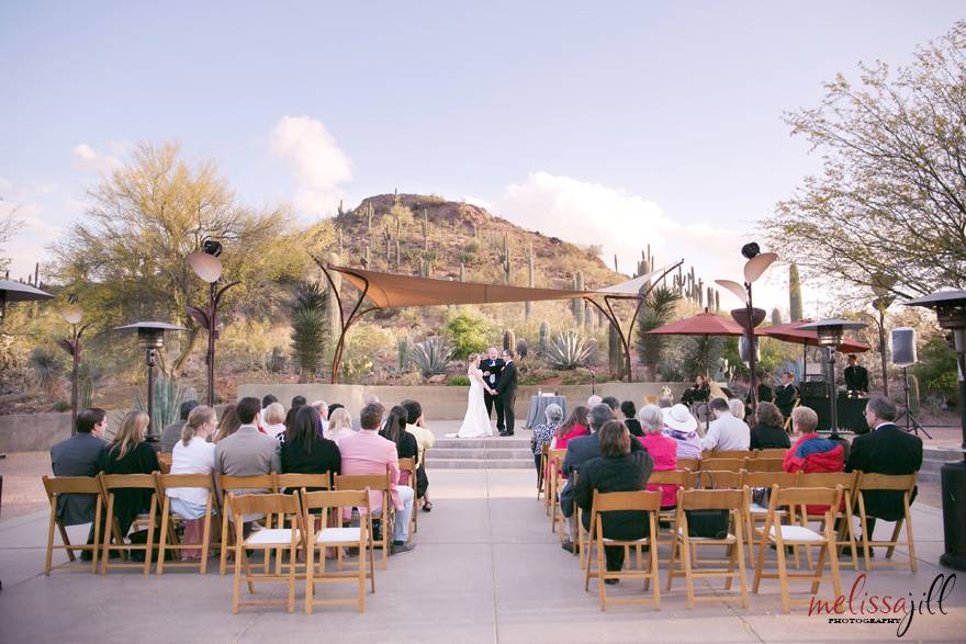 Desert Botanical Gardens