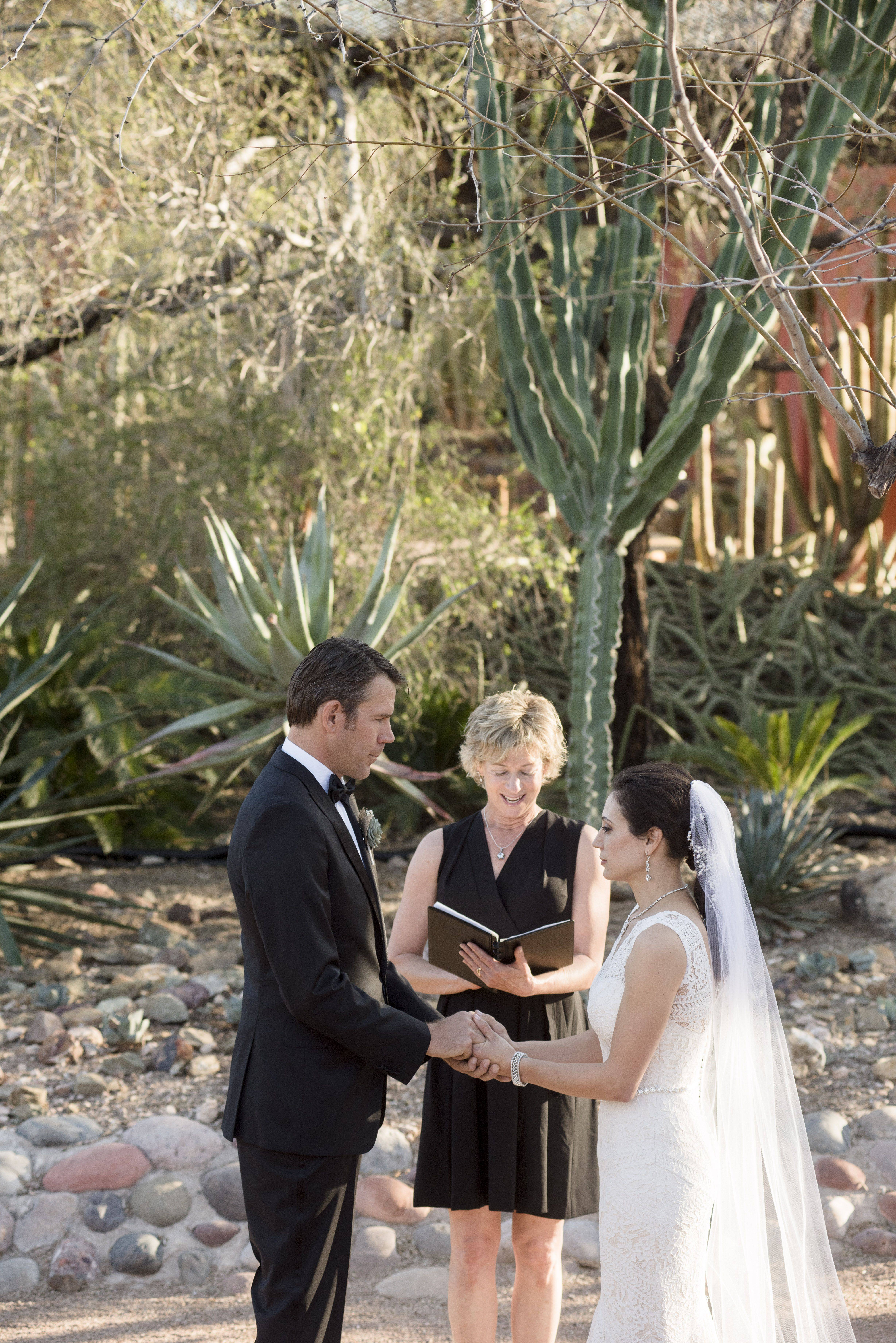 Desert Botanical Garden