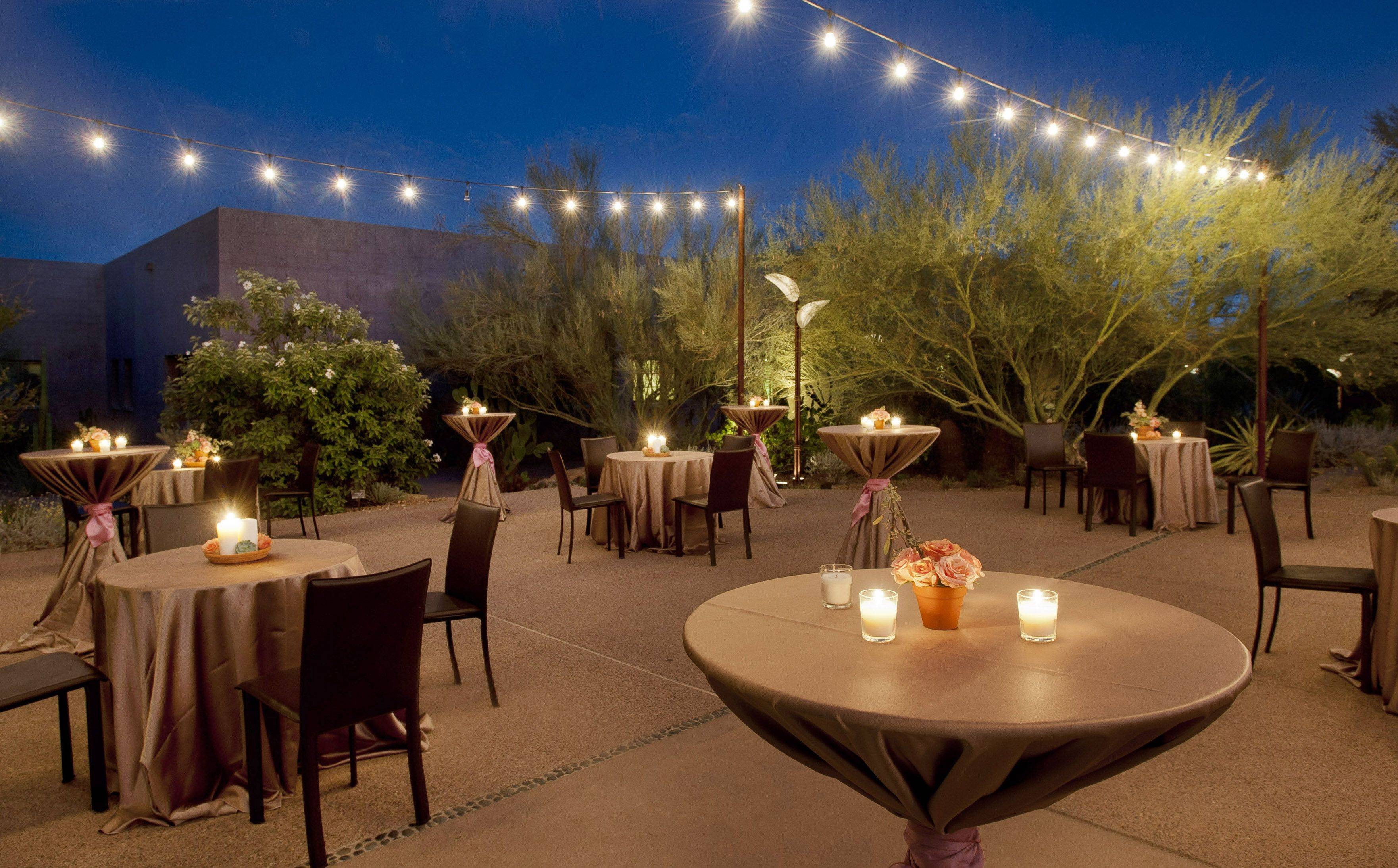Krista Mikes Desert Botanical Garden Wedding