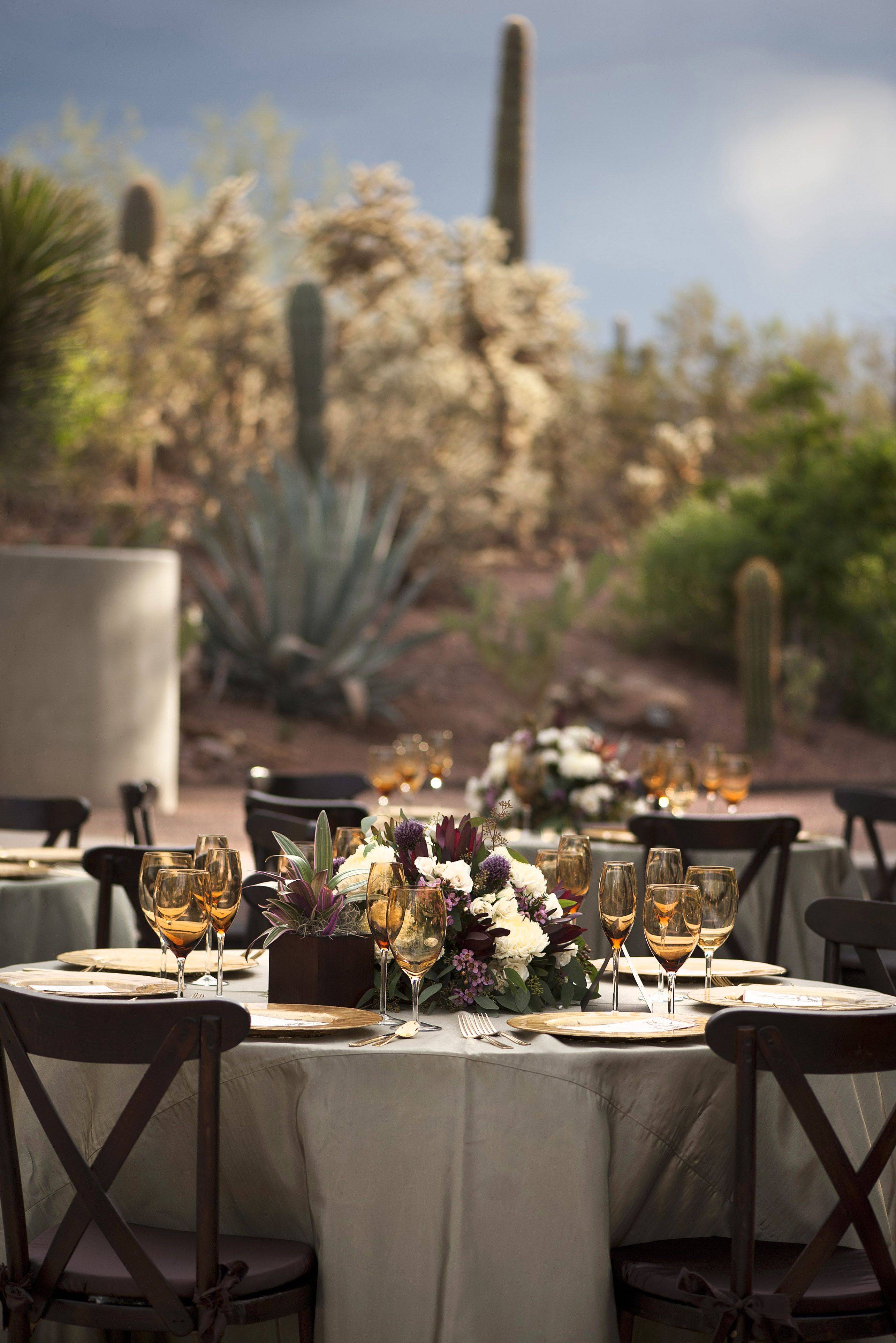 Krista Mikes Desert Botanical Garden Wedding