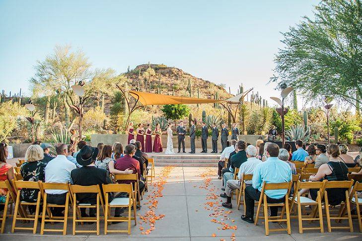 Megan Tjs Rainy Desert Botanical Garden Wedding