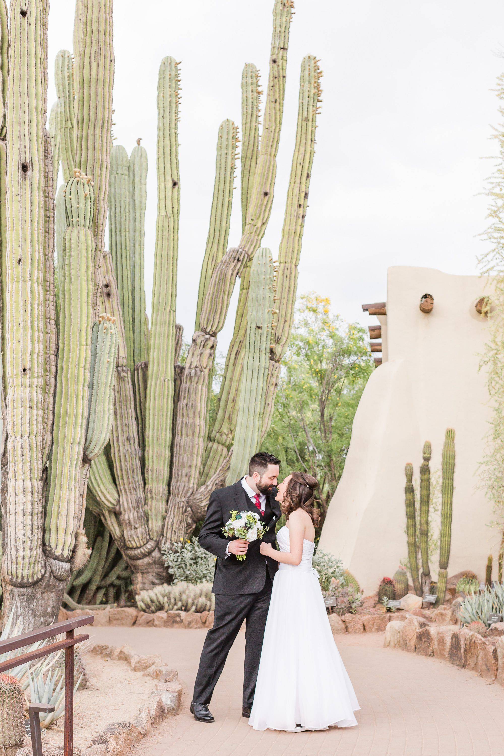 This Black Burgundy And Gold Desert Botanical Garden Wedding