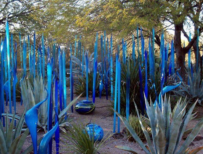 The Desert Botanical Gardens