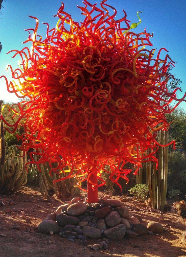 Desert Botanical Gardens Desert Botanical Garden Chihuly Botanical