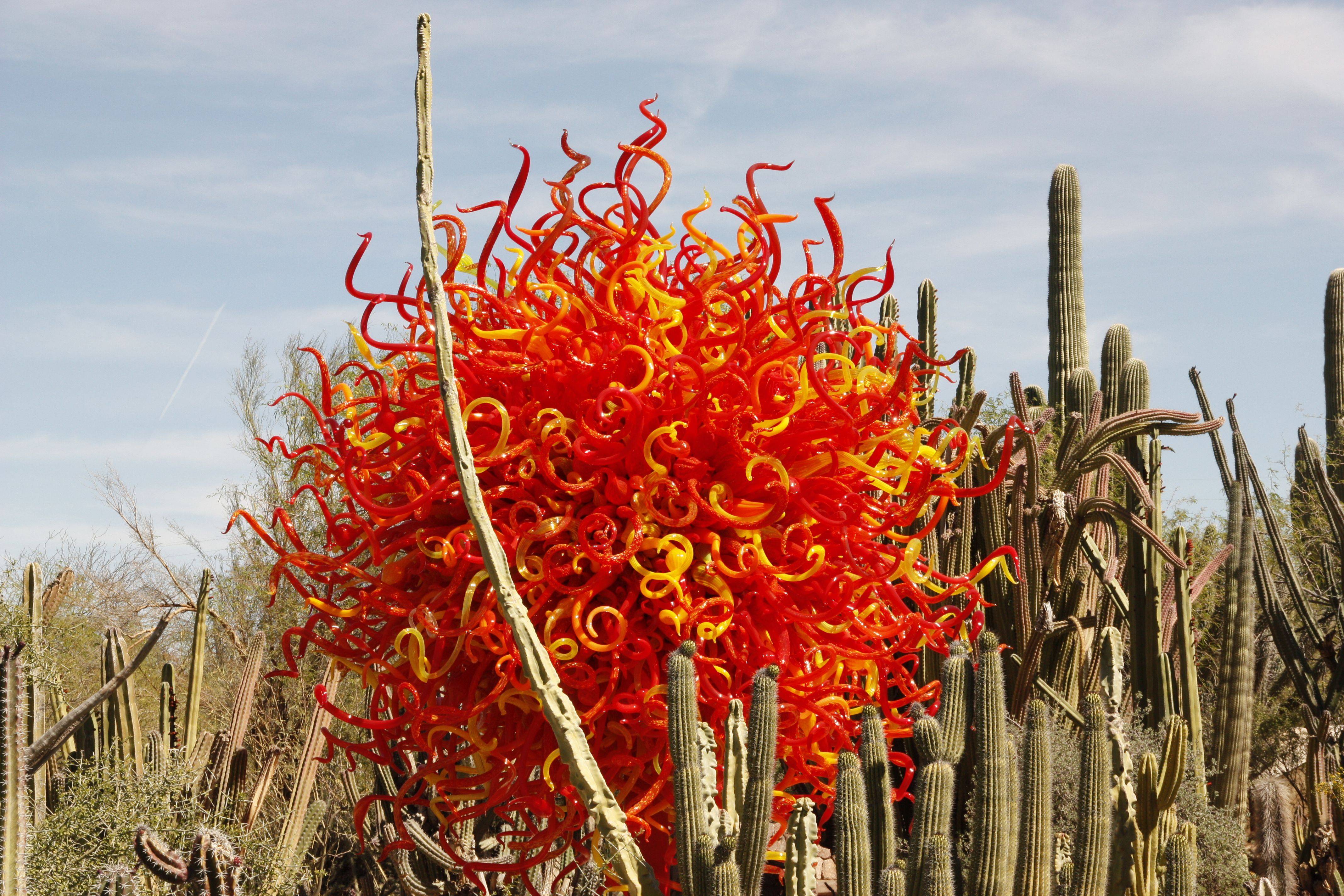 Desert Botanical Gardens Exhibit