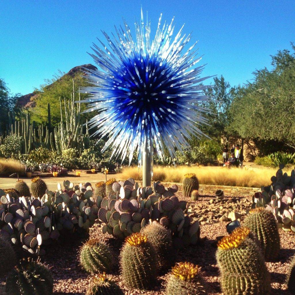 Gorgeous Desert Botanical Garden Donation