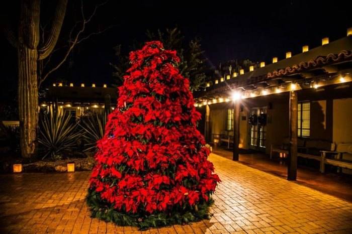 Atlanta Botanical Gardens Christmas Lights Over Million Lights
