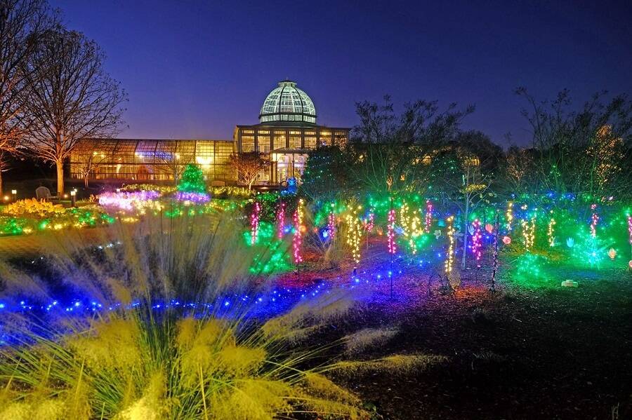 Botanical Gardens Christmas Lights Display Sincerely Cait