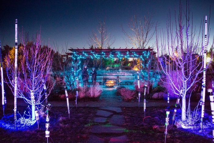 Desert Botanical Garden Christmas Lights