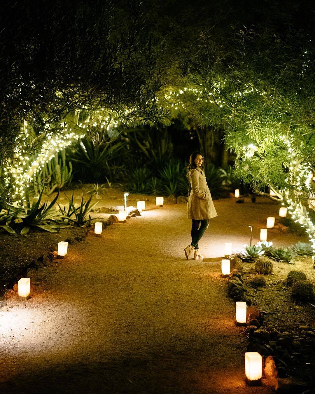 Desert Botanical Garden Christmas Lights